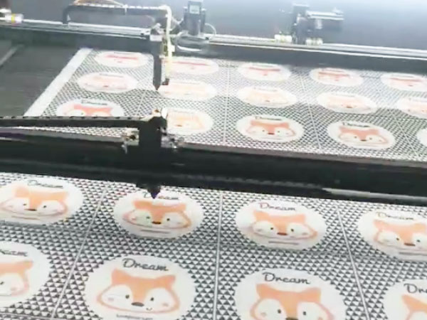 视是双头全景加小相机...